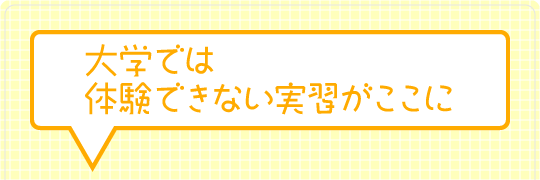 大学では体験できない実習がここに